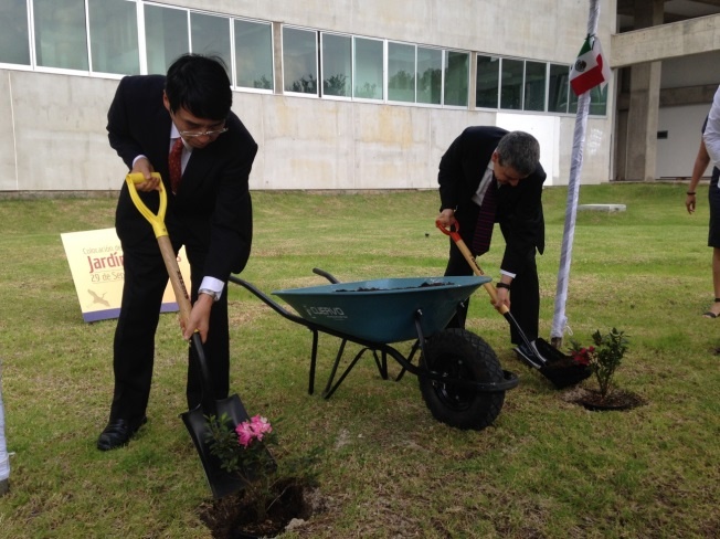Plantación del primer arbol en Jardín Japonés en Centro Universitario de Ciencias Sociales y Humanidades (CUCSH)