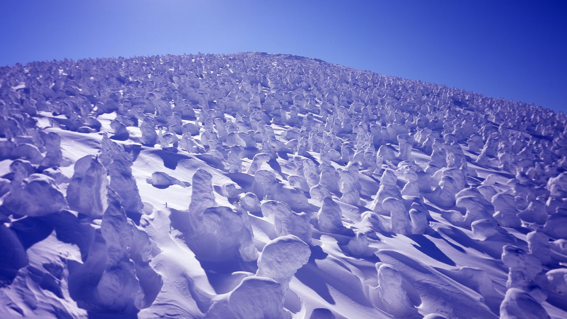”Snow Monsters”, Zao Onsen Ski Resort, ©METI, Creative Commons Attribution 4.0 International License (CC BY 4.0) https://creativecommons.org/licenses/by/4.0/