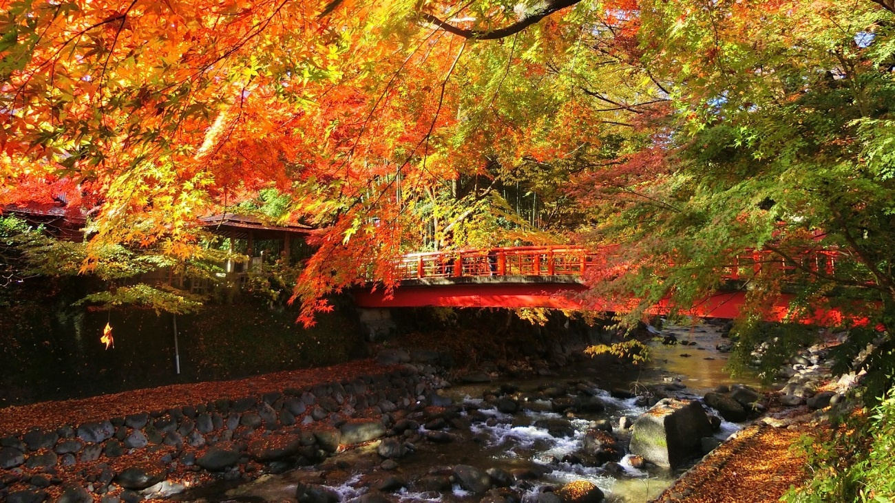 Shuzenji Onsen Town, ©METI, Creative Commons Attribution 4.0 International License (CC BY 4.0) https://creativecommons.org/licenses/by/4.0/