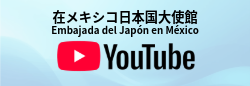 youtube de la Embajada